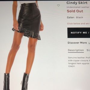 Understated Leather Cindy skirt. (S). Leather-NWOT
